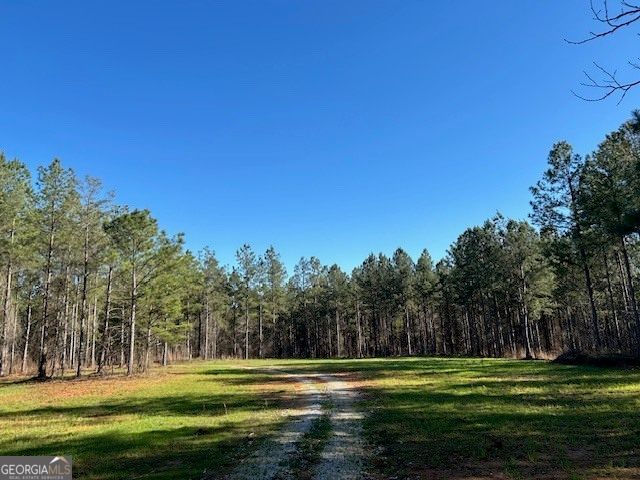 3312 Hunts Chapel Road, Sparta, GA 31087