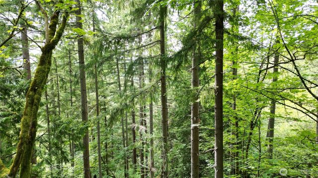 116 xx 198th ave se, Issaquah, WA 98027