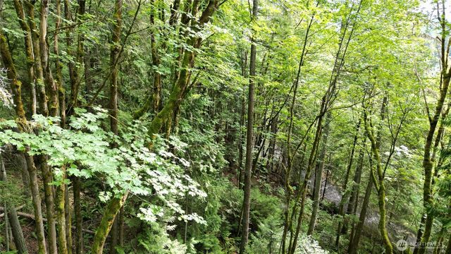 116 xx 198th ave se, Issaquah, WA 98027