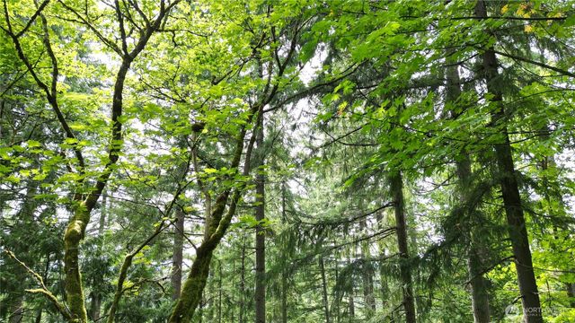 116 xx 198th ave se, Issaquah, WA 98027