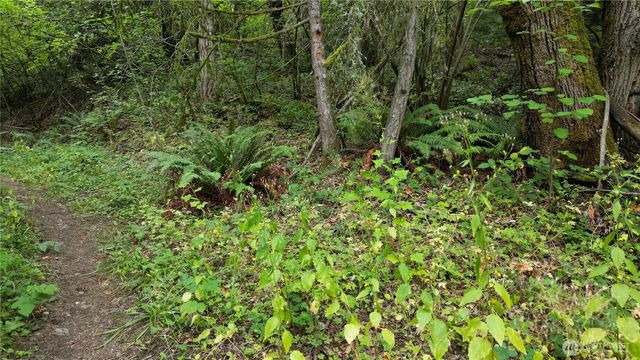 116 xx 198th ave se, Issaquah, WA 98027