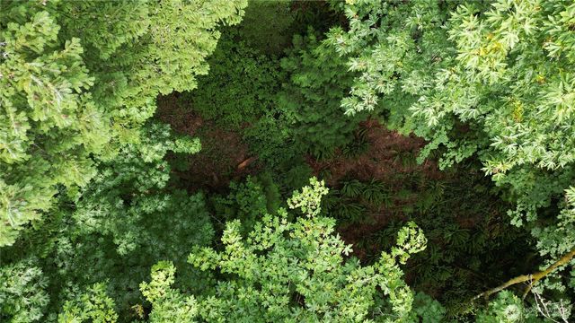 116 xx 198th ave se, Issaquah, WA 98027