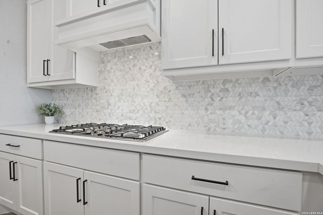 1838 Luna, New Braunfels, TX 78132