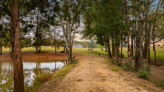 1855 Phillips Springs Road, Gladewater, TX 75647