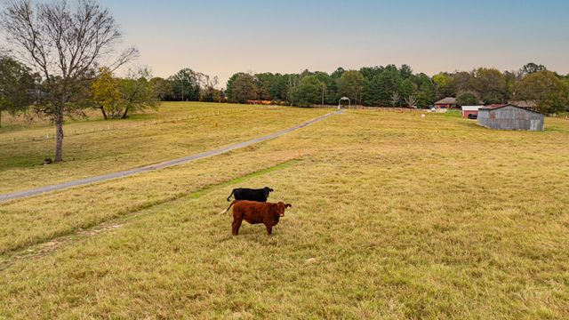 1855 Phillips Springs Road, Gladewater, TX 75647