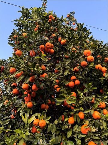 5039 Tyler, Chino, CA 91710