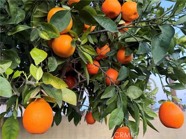 5039 Tyler, Chino, CA 91710