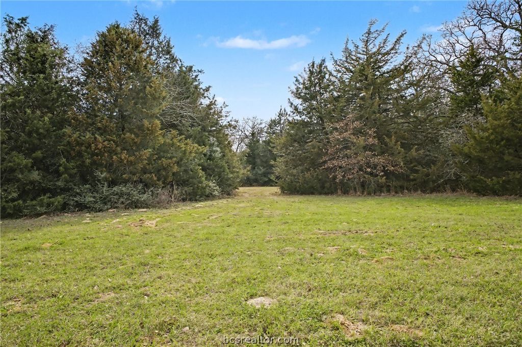 TBD Sawmill Road, Franklin, TX 77856 — photo 3