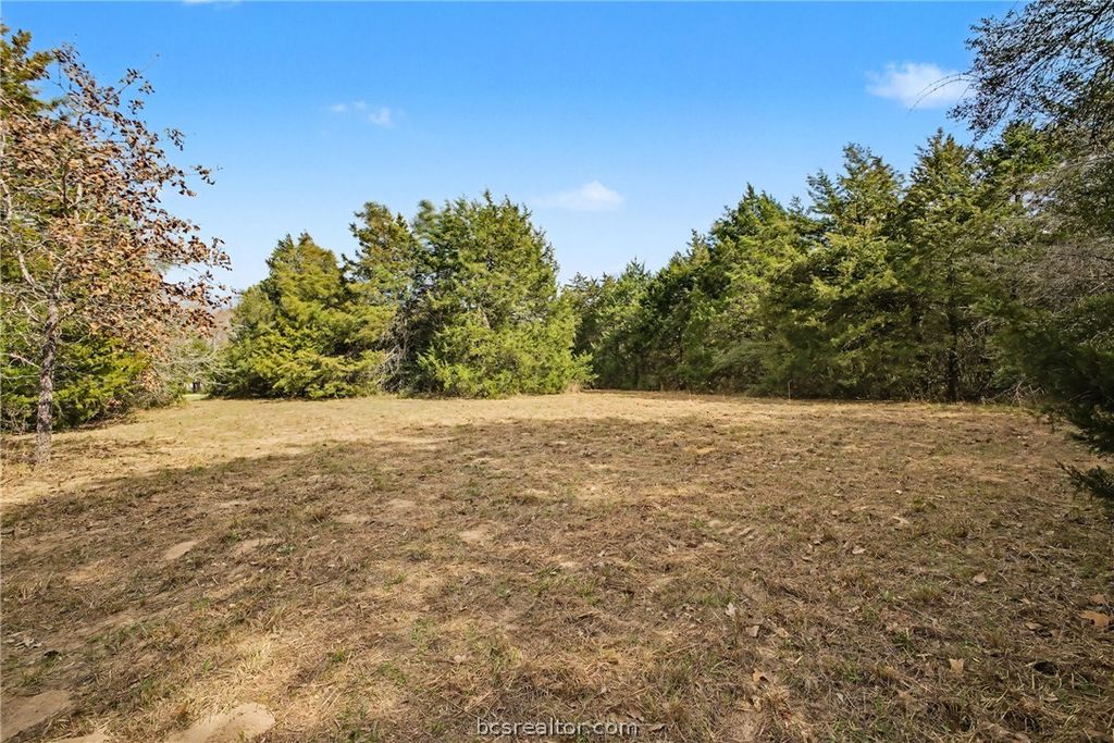 TBD Sawmill Road, Franklin, TX 77856 — photo 4