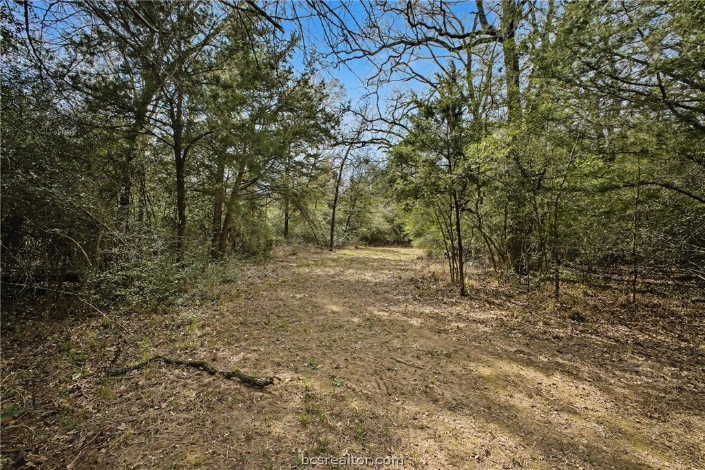 TBD Sawmill Road, Franklin, TX 77856 — photo 5