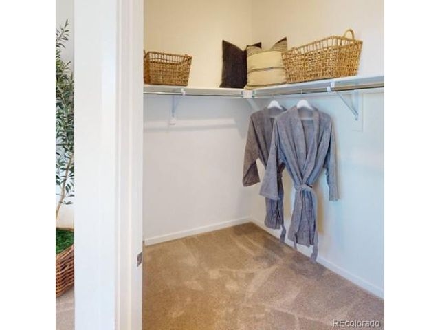 10981 Tundra Top Dr, Parker, CO 80134