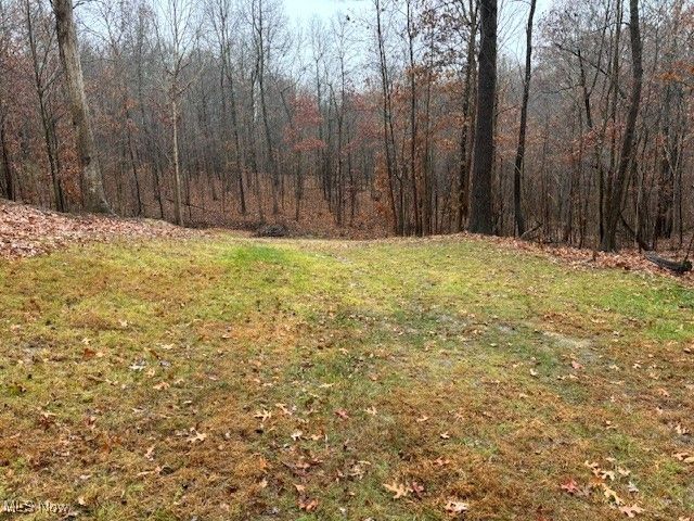 17130 Burson Road, Lore City, OH 43755