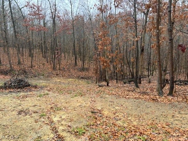 17130 Burson Road, Lore City, OH 43755