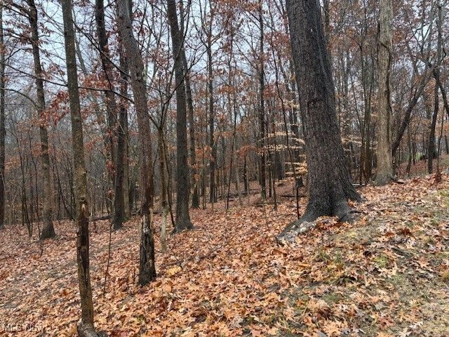 17130 Burson Road, Lore City, OH 43755