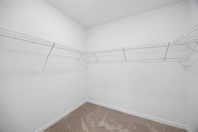 20770 BALSAM HILL ROAD, Land O Lakes, FL 34638