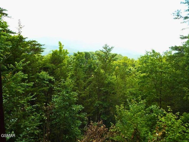 64 Vixen Run, Gatlinburg, TN 37738