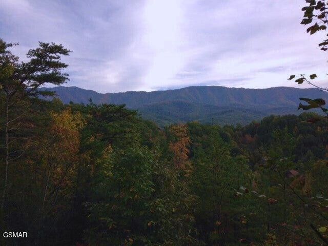 64 Vixen Run, Gatlinburg, TN 37738
