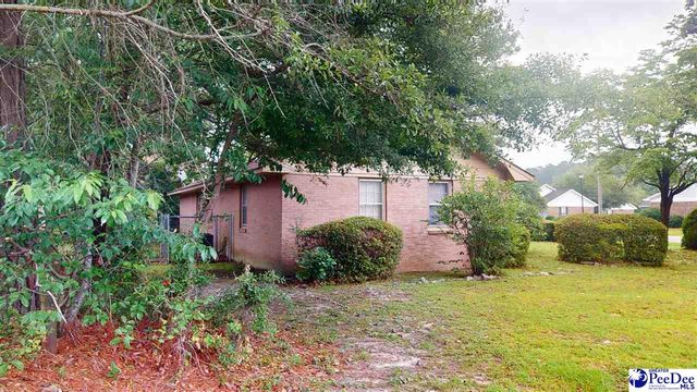 633 sykes st, Manning, SC 29102