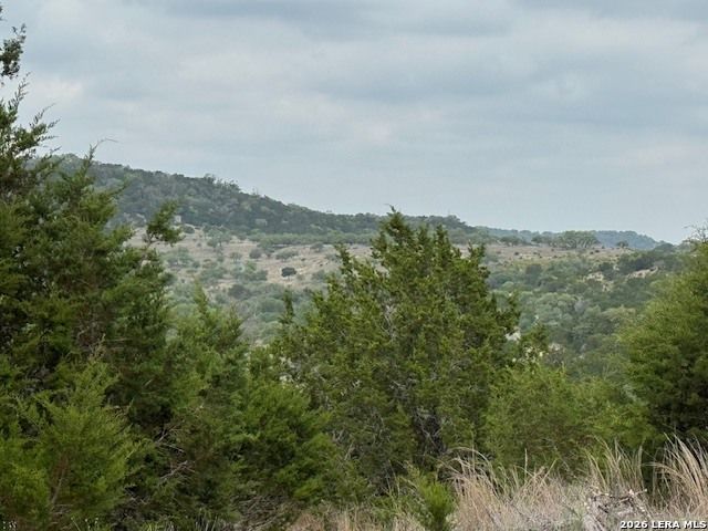 108 Saddle Wood Trl, Comfort, TX 78013