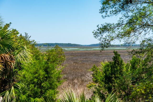 717 Bounty Square Drive, Charleston, SC 29492