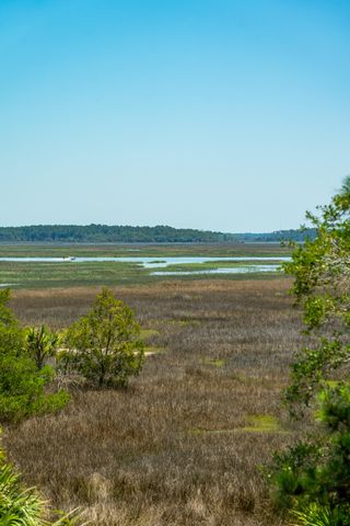 717 Bounty Square Drive, Charleston, SC 29492