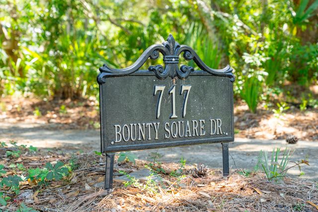 717 Bounty Square Drive, Charleston, SC 29492