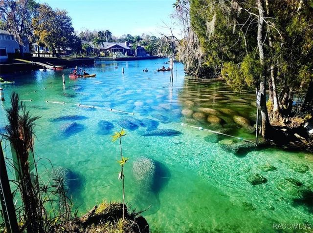 529 Hiawatha Avenue, Inverness, FL 34452