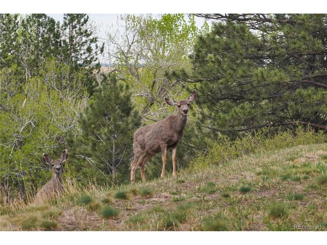 8664 Middle Fork, Boulder, CO 80302