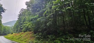 0 Old CCC Road, Hendersonville, NC 28739
