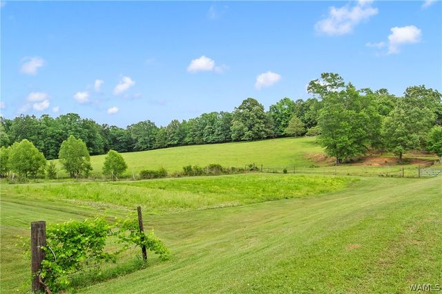 21193 Max Vintson, Northport, AL 35475
