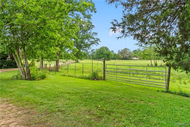 21193 Max Vintson, Northport, AL 35475