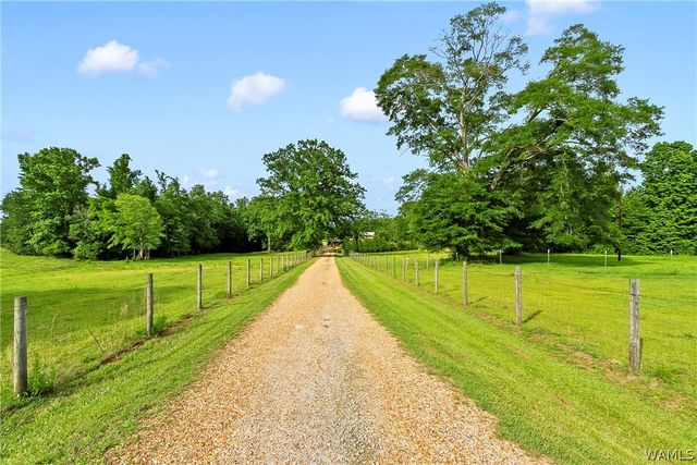 21193 Max Vintson, Northport, AL 35475