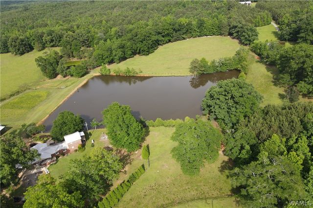 21193 Max Vintson, Northport, AL 35475