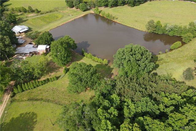 21193 Max Vintson, Northport, AL 35475