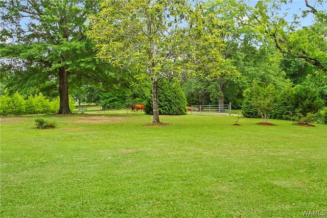 21193 Max Vintson, Northport, AL 35475