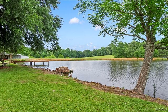 21193 Max Vintson, Northport, AL 35475