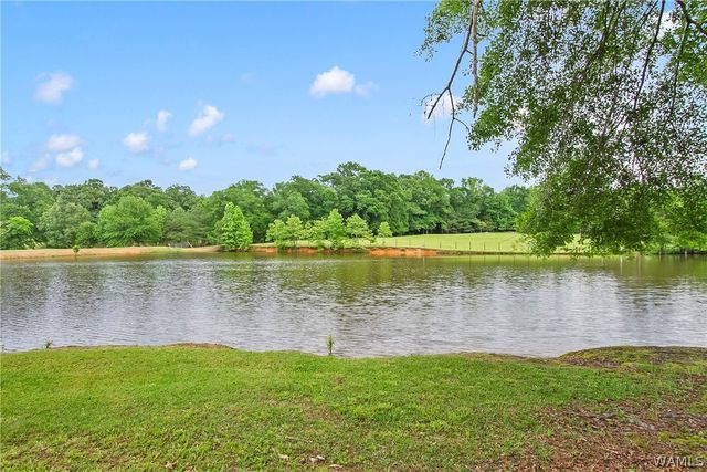 21193 Max Vintson, Northport, AL 35475
