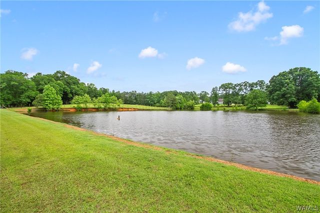 21193 Max Vintson, Northport, AL 35475