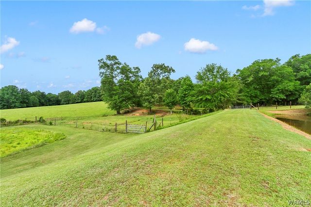 21193 Max Vintson, Northport, AL 35475