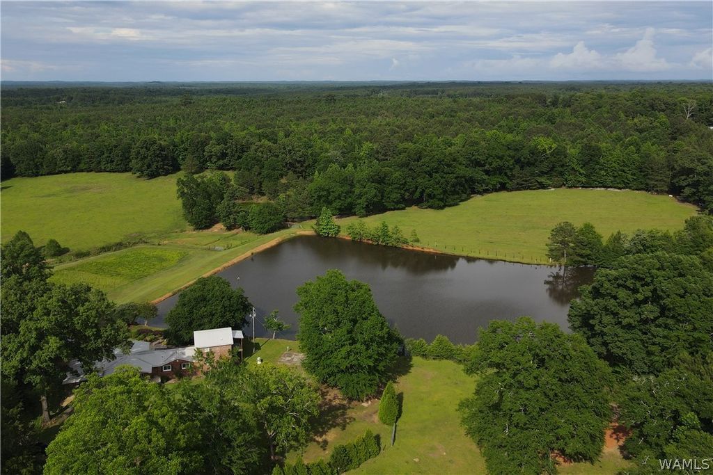 21193 Max Vintson, Northport, AL 35475