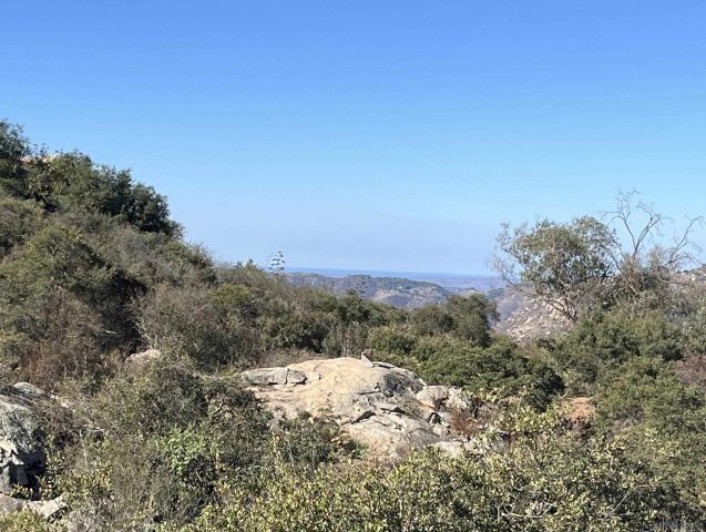 000 Red Mountain Dr 92, Valley Center, CA 92082