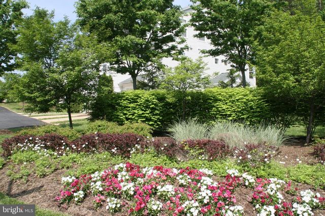 6646 PATENT PARISH LN, Alexandria, VA 22315