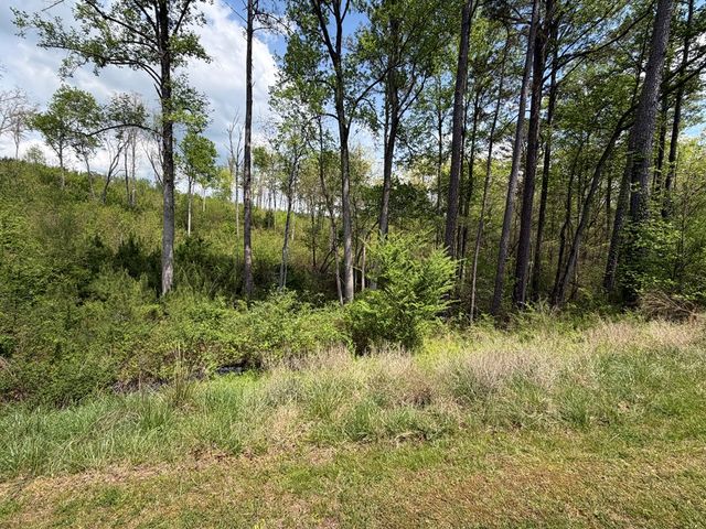 238 Lecroy Drive, Ellijay, GA 30540