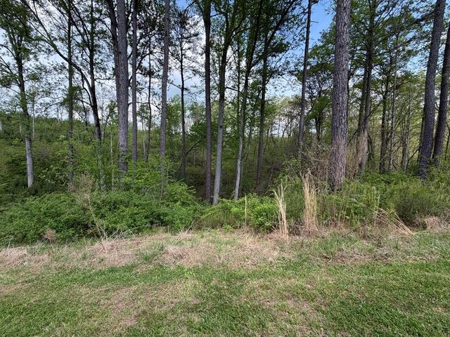 238 Lecroy Drive, Ellijay, GA 30540