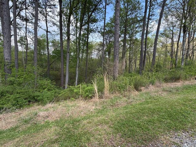 238 Lecroy Drive, Ellijay, GA 30540