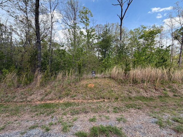238 Lecroy Drive, Ellijay, GA 30540