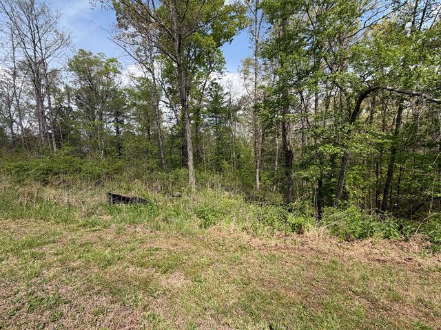 238 Lecroy Drive, Ellijay, GA 30540