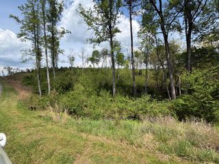 238 Lecroy Drive, Ellijay, GA 30540