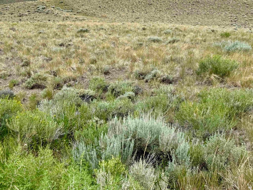 TBD Laurel Dr, Wapiti, WY 82450 photo 4