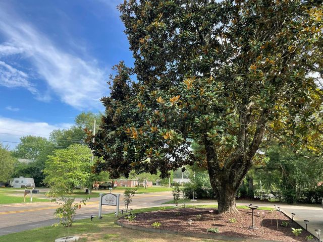 1201 S Reine Street, Mena, AR 71953